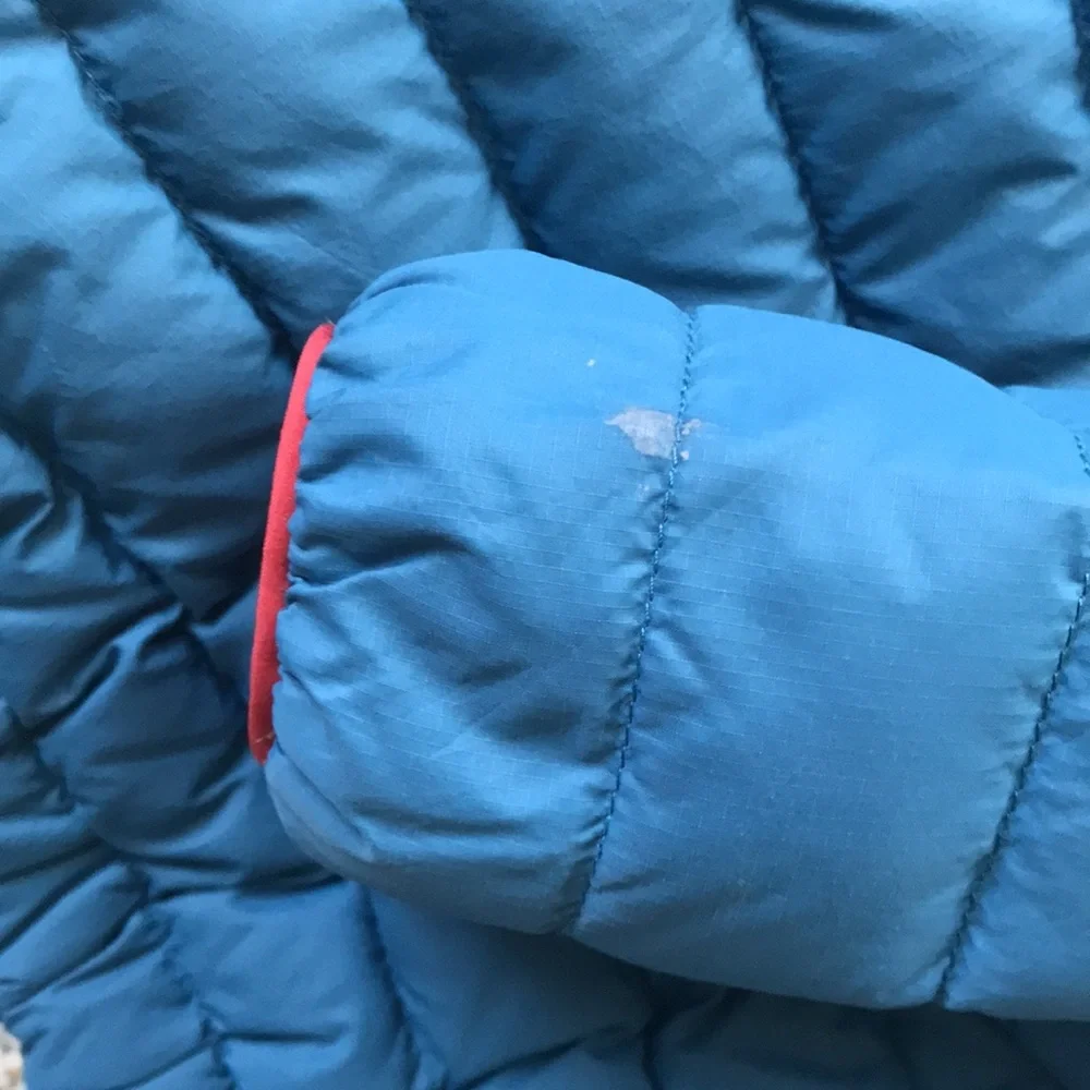Patagonia Puffer Jacket (size 2T)